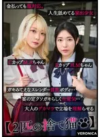 M.A.＆H.M. サンプル画像