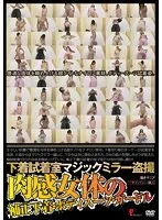 下着試着室マジックミラー盗撮 肉感女体の補正下着・ボディスーツ・ガードル サンプル画像