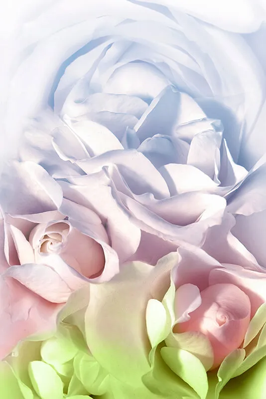 胡桃さくら 最高級 美少女ソープ サンプル画像 3