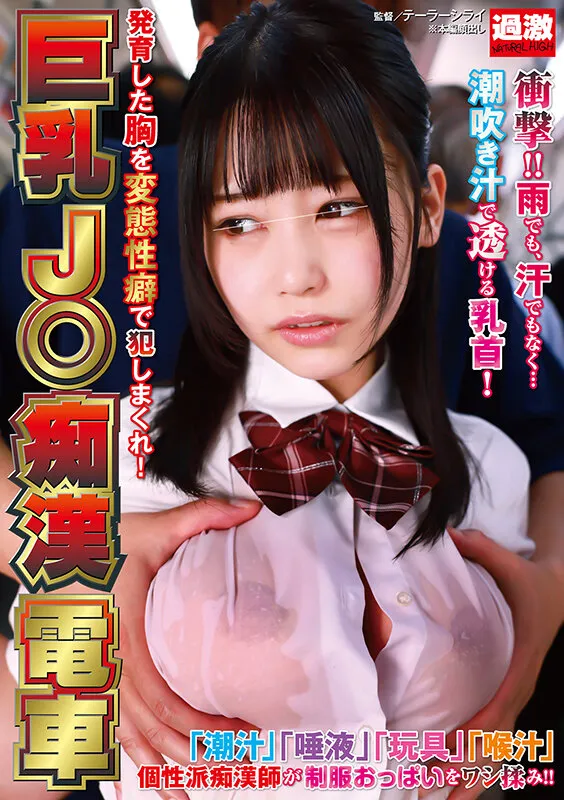 巨乳J○痴●電車 発育した胸を変態性癖で犯しまくれ！ サンプル画像 1