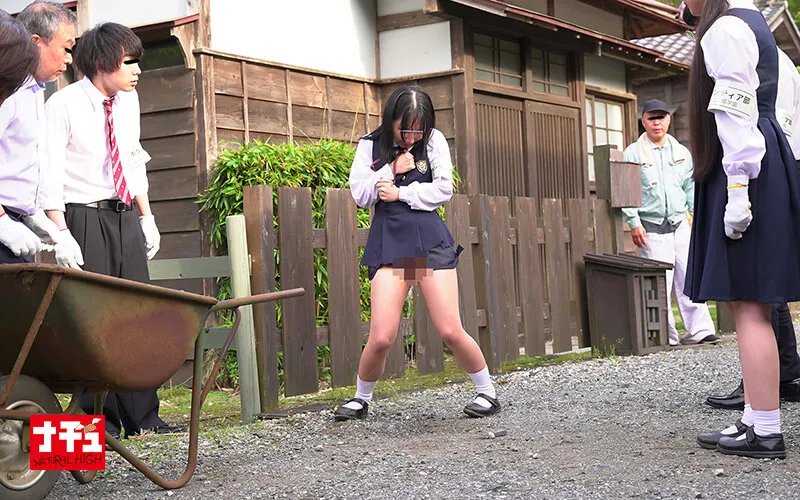 ナチュラルハイ25周年記念作品 再会中出し羞恥2024 完全撮り下ろし2枚組8時間 特大号！！ サンプル画像 11