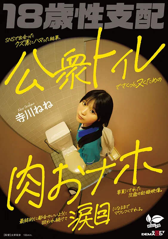 SNSで出会ったクズ男にハマった結果、公衆トイレでさくっとヌくための肉おナホ要員にされた18歳の記録映像。最終的に都合のいいように扱われ続けて涙目になるまでマワしつくされる。 寺川ねね サンプル画像 1