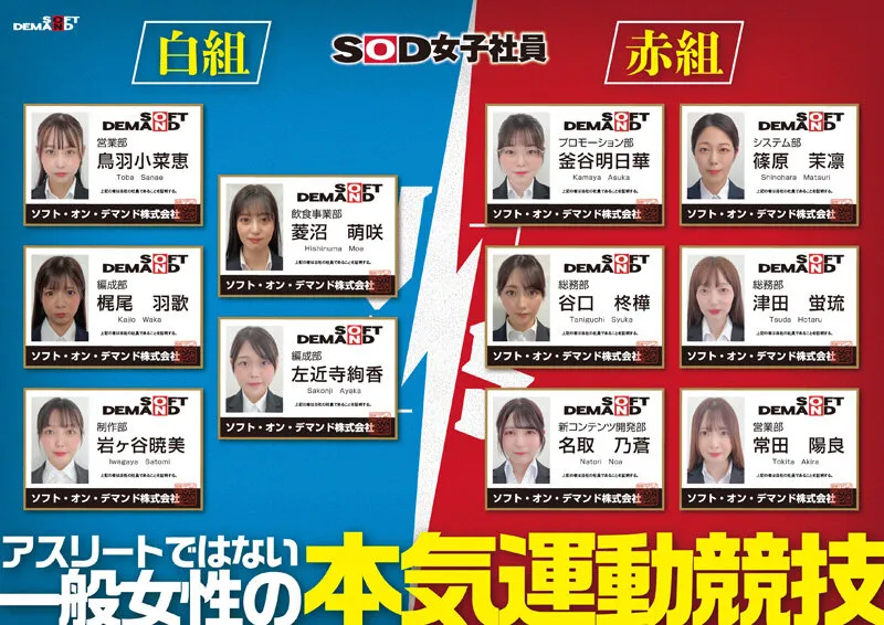 SOD女子社員 2025年度ソフト・オン・デマンド運動会 男女総勢37名の社員合戦！ サンプル画像 3