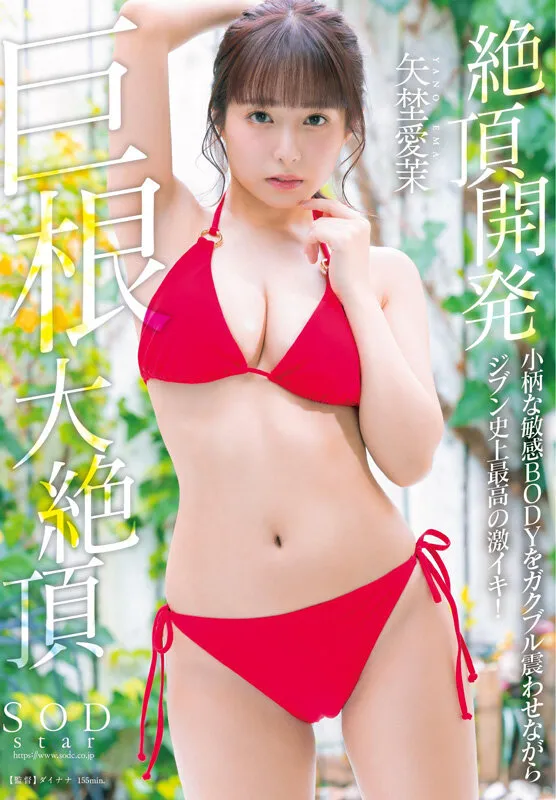 矢埜愛茉 初総集編！芸能界からAV DEBUTしたSODSTARの20タイトル20SEX豪華10時間スペシャル サンプル画像 9