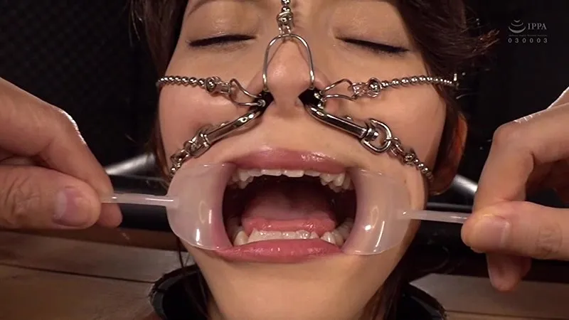 わたしの豚ヅラ、見てください。 森沢かな サンプル画像 7