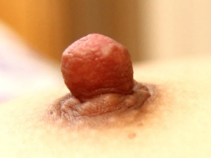 大正・昭和から伝わる熟女の福ちくび様～黒乳首・貧乳乳首・巨大乳輪・垂れ乳の四大福乳様を御参拝～40人8時間 サンプル画像 2