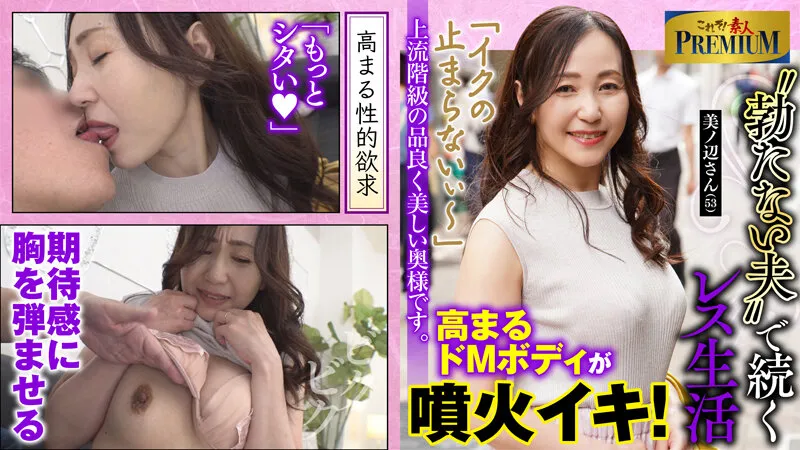 これぞ！素人PREMIUM 上流階級の品良く美しい奥様です。 サンプル画像 1