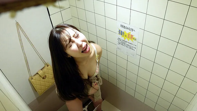 公衆トイレ放尿オナニー 何処でも性処理する激エロ女子たち サンプル画像 3