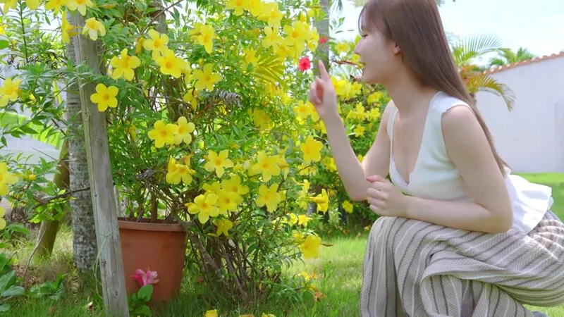 Miru7 Shining Legend・miru サンプル画像 1