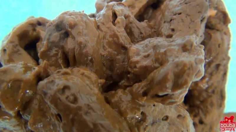 私のウンコ姿見てもらえますか？ サンプル画像 8