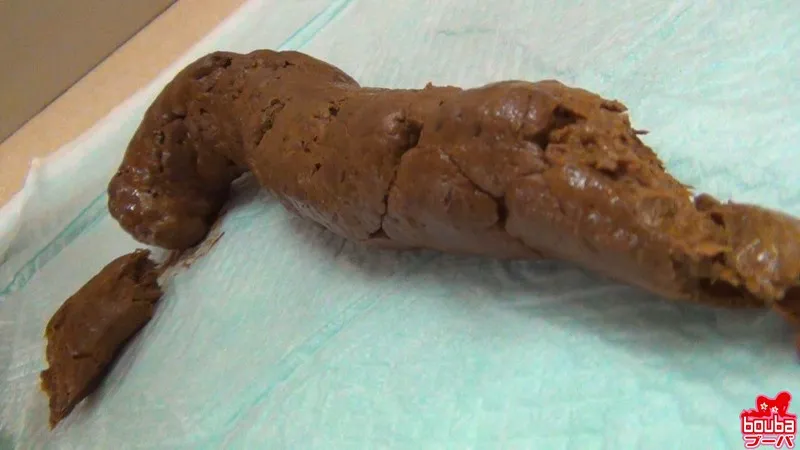 激写！うんこを売る女 サンプル画像 15