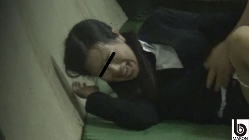 キャリアウーマンレ●プ隠撮 サンプル画像 2