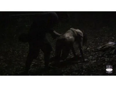 隠撮 拉致レ●プ サンプル画像 6