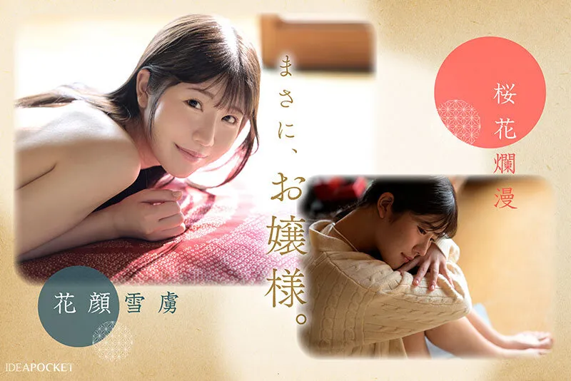 FIRST IMPRESSION 188 上品で癒しの雰囲気から想像つかない意外性 坂井美桜 サンプル画像 3