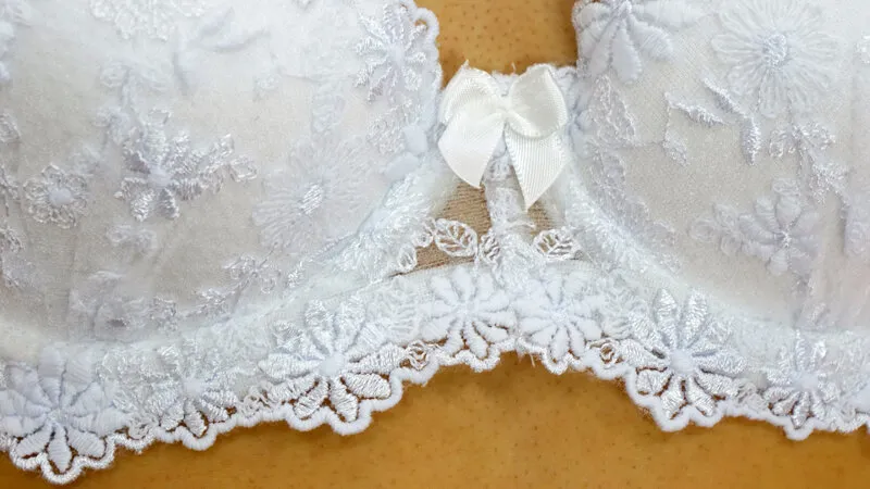 ブラジャーになりたいなあ サンプル画像 5