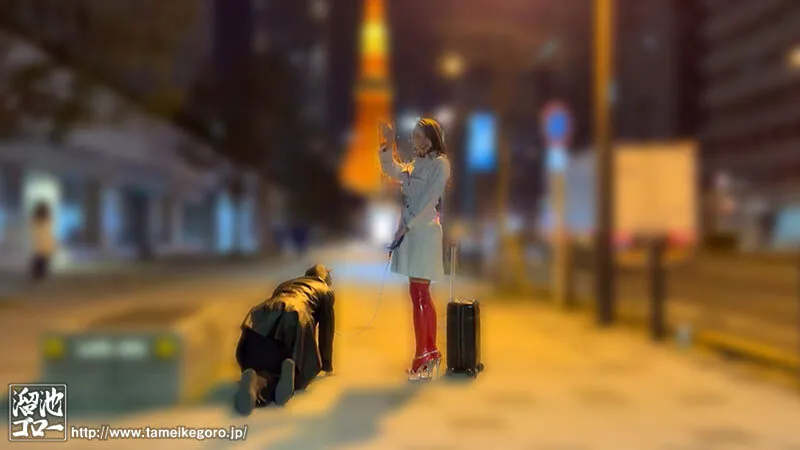 難波SMクラブの元伝説女王様をM男クン家に派遣します！ド級の痴女テクと関西弁ささやきで東京マゾザーメンをブッコ抜く！ 花宮きょうこ サンプル画像 16